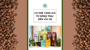 Read more about the article CÀ PHÊ TĂNG GIÁ KỶ LỤC TỪ NÔNG TRẠI ĐẾN VỈA HÈ