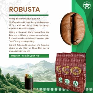 Read more about the article CÀ PHÊ ROBUSTA – GU ĐẬM ĐÀ, CHẤT MẠNH MẼ