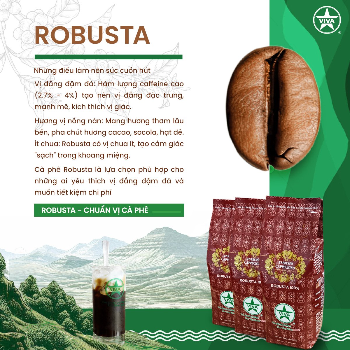 You are currently viewing CÀ PHÊ ROBUSTA – GU ĐẬM ĐÀ, CHẤT MẠNH MẼ