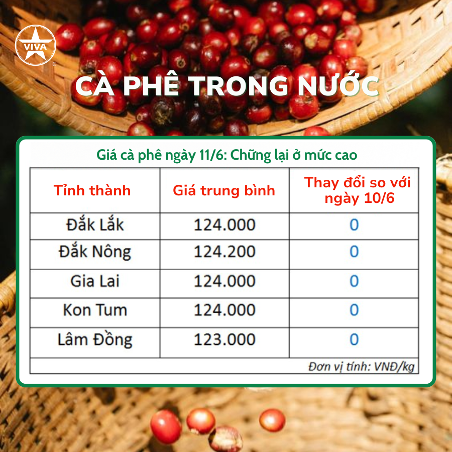 You are currently viewing [TIN NÓNG] GIÁ CÀ PHÊ NGÀY 11/6: CHỮNG LẠI Ở MỨC CAO