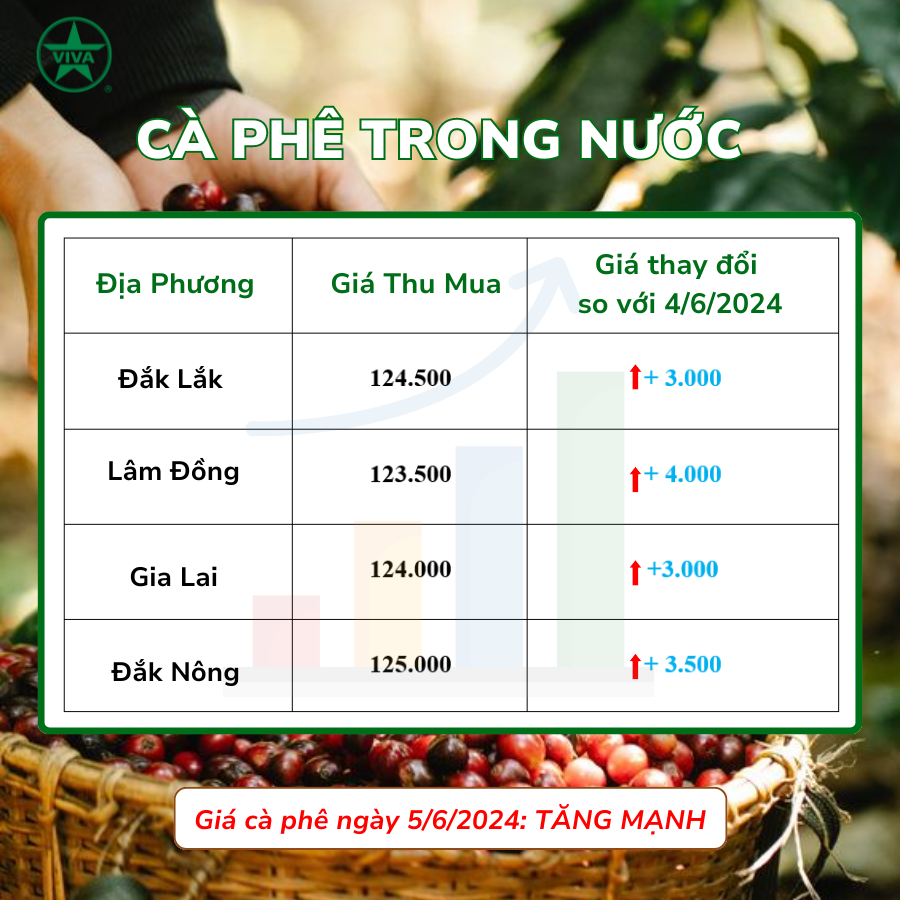 You are currently viewing TIN NÓNG: GIÁ CÀ PHÊ NGÀY 5/6 BẬT ĐÀ TĂNG MẠNH, DỰ BÁO SẢN LƯỢNG GIẢM ĐẾN 20%